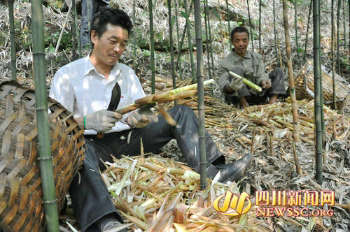 �Ĵ�����������������ժ�� Ⱥ��ϲ�����