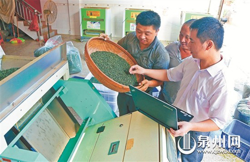 �±������űʼǱ����ԣ�����������ԱȲ�Ҷ���Լ������ϵĲ�ҶͼƬ��ɫ�Ƿ�һ�¡�