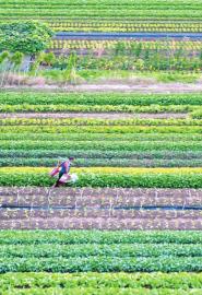 �������֣��߲��Ը��ʴ�95%����