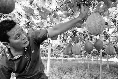 ��������������������Ʒ��