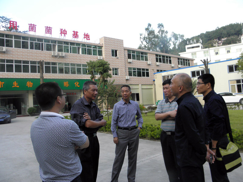 �㽭��Ȫ����������������ʳ�þ���ҵ