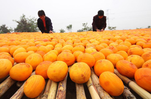 ɽ������ӭ�����ӷ��ռ�