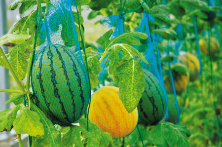 �㽭�������������������Ͼ����޽�