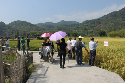 �����������ٰ�������Ʒ�ֹ�Ħ��