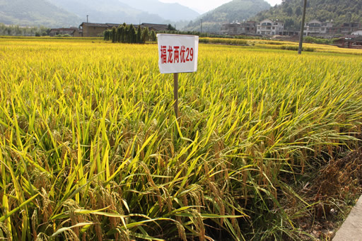 �����������ٰ�������Ʒ�ֹ�Ħ��2