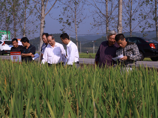 ������30�������Ʒ�����ร��ʡˮ����Ħ��