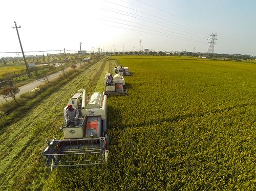 10��15�գ��ո���ڳ����ˮ����������ո���ҵ��