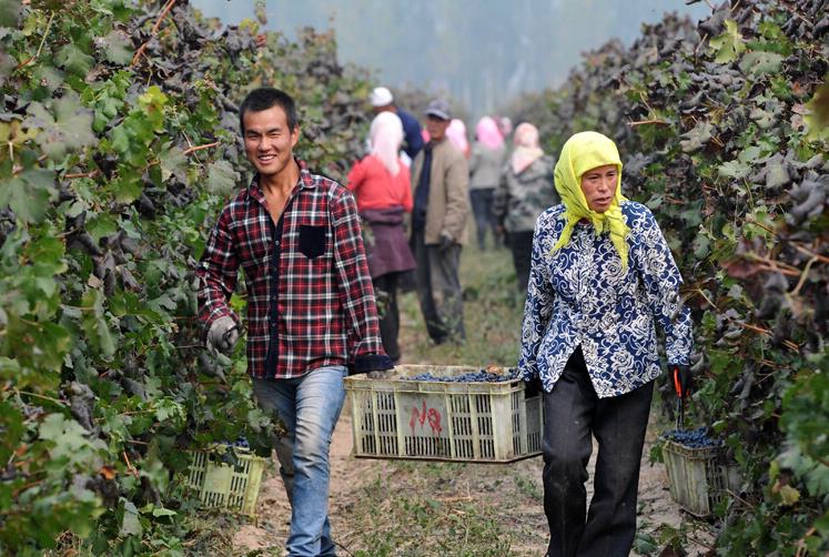 ����ũ�ѣ�����ɽ´ ϲ������