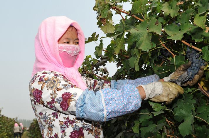 �����Ļ���������ůȪũ�������ع�ũ��ժ�����������ѡ�