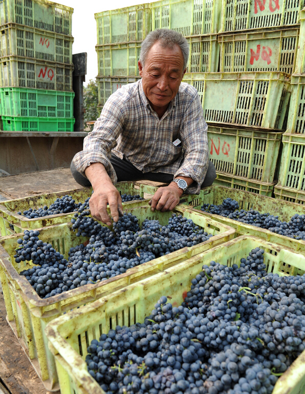 �����Ļ���������ůȪũ�������ع�ũ�����ջ���������װ��׼�����������ľ�ׯ���ա�