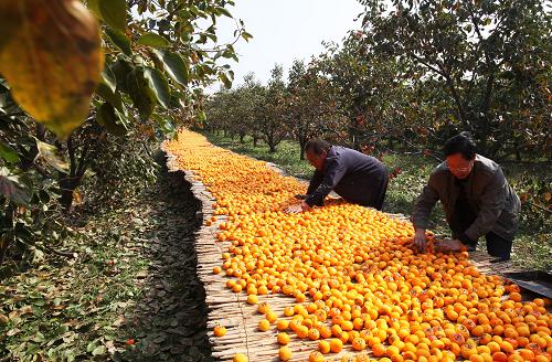 10��17�գ������غ�Ѧ����λũ�����Լ�����԰ɹ���ӡ�