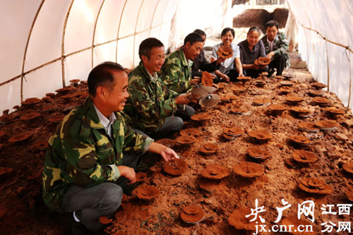 �嶷�������ʹ����רҵ�������������Ա��æ�Ų�ժ�ڶ�����֥