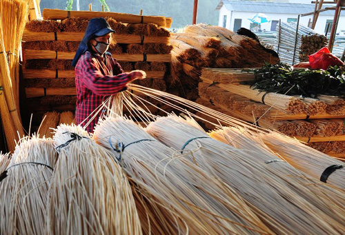 10��20�գ�����ʡ��Դ��̫����º���ľ�ӹ���Ա���ڷּ���˿��