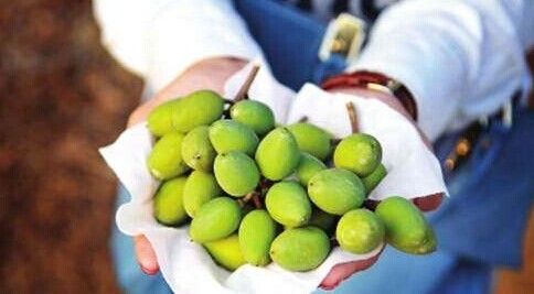 �������ݣ�������魹�֦ͷ �ۺ컨�����ų�