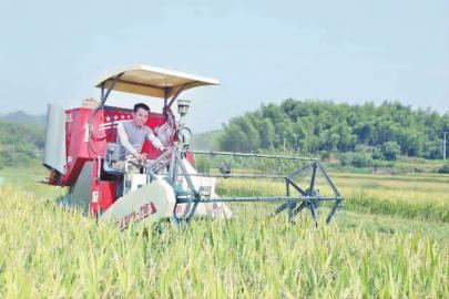 ������Ϫ������90%ʵ�ֻ���