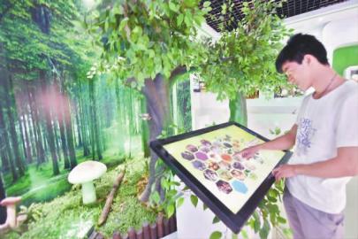 �����������׸�ʳ�þ��Ƽ�չʾ���µ�Ͷ��