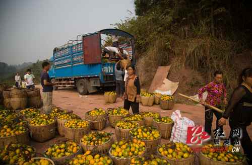 ����̷������չ��������ĸ���