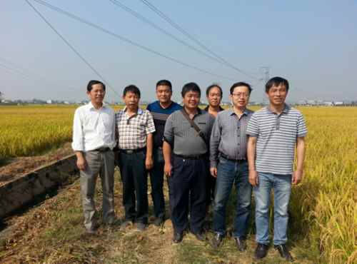 ���ϳ�ɳ�س��������������ġ���Ŀ�߲�ʾ��Ƭͨ��ר��������