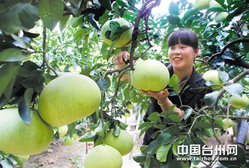 �㽭���ĵ�ȫ������ժ��