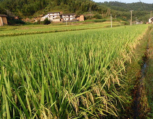 ������Ϫ����Ķ����ϲ�����