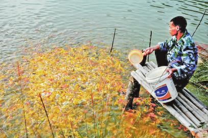 ����������ɽȪˮ����������