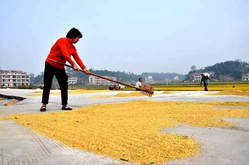 ����˫������ʳ����ϲ�����2