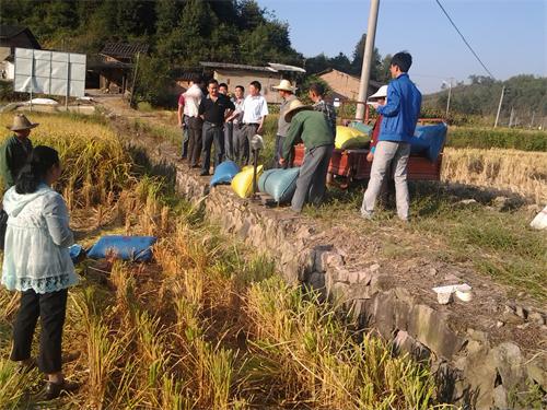 ����̩��������ˮ���߲�ʾ��Ƭ�����