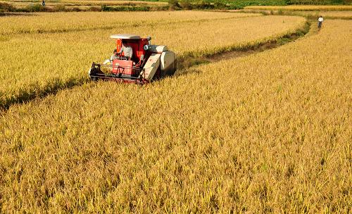 ����46���������ػ������������11�ڶ�Ԫ