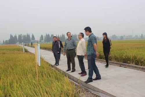 �����佭��ũҵ����֯ˮ����Ʒ��չʾ�ֳ���Ħ��