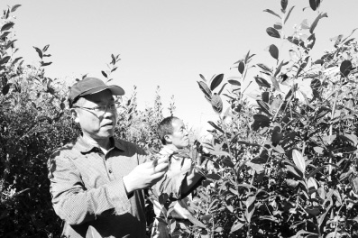 �㽭��������ɽ�л��衰ǽ�ڿ���ǽ���㡱