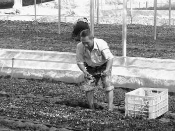 ������Ϫ����ˮ��ʽ���Թ���������