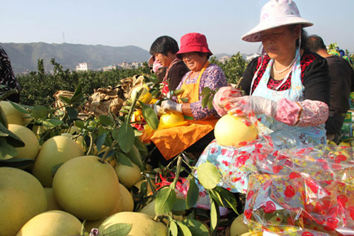 �㽭���ĵ������ ��ũ��ժæ