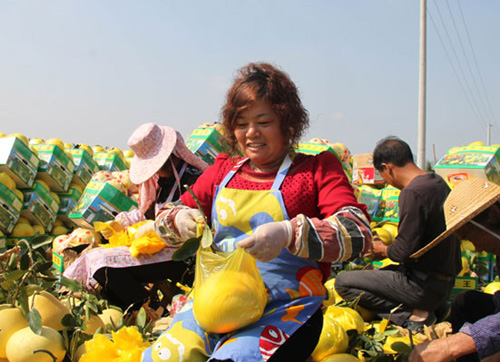 ��ũ���ڰ�װ�ĵ�