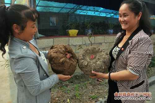 ���ϻ�ͬħ�������