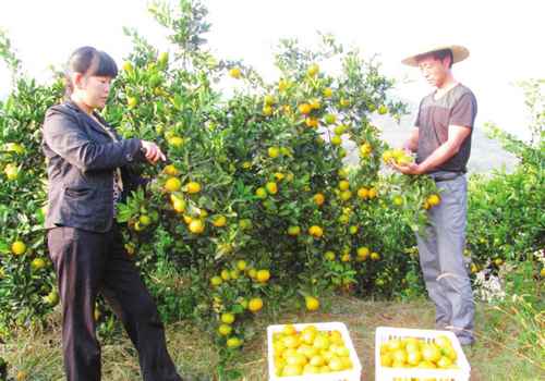 ���϶��ڣ�����ѩ�������ѿ�ժ����