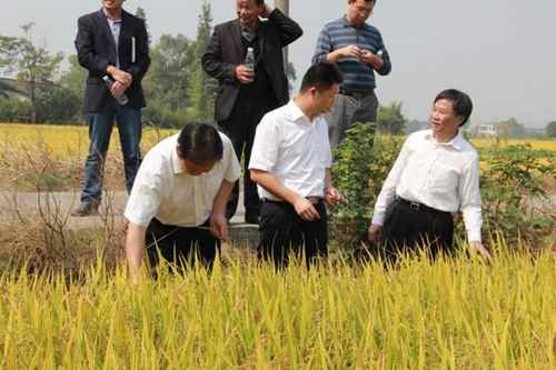 ����ʡũί��������ũҵ��������