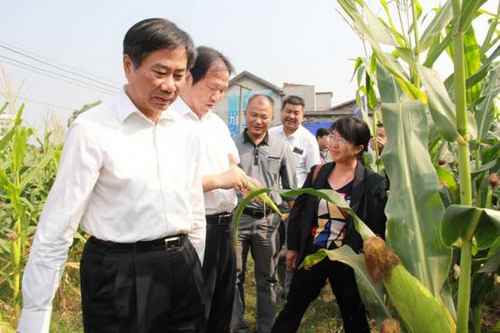 ��ú̿����ɽ��쿴˫�����׸߲�ʾ������