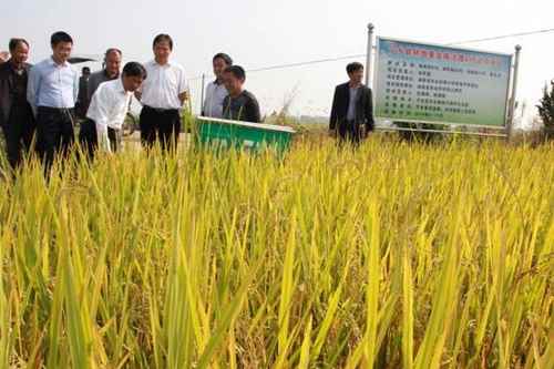 ũ��վ������վ����ũί�쵼�����ؽ�������ʵ�����