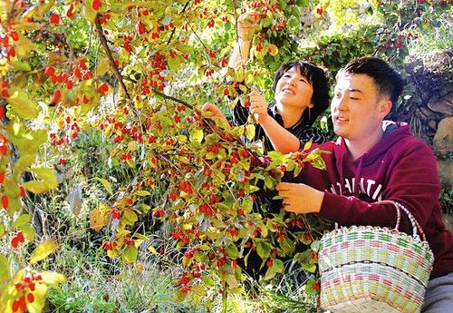 ɽ��������3���Ķɽ����ϲ�����