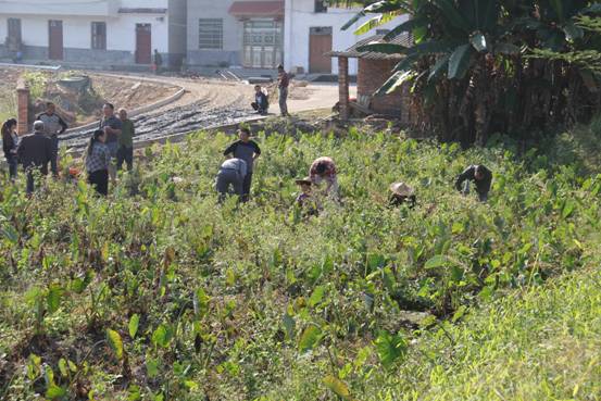 �������֣��������ֳ����