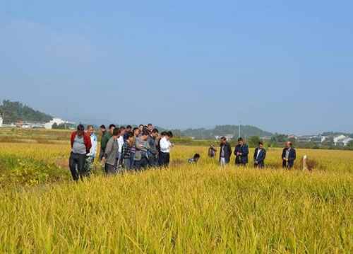 ���ϣ�ܿ������ˮ���ϵ�Ӧ�������Ħ����ֳ�������������ɳ����ũ��վ�ٿ�