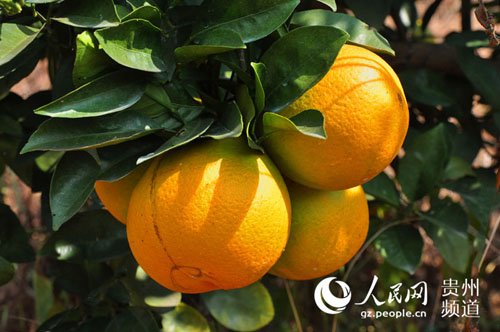 ���ʵ���ȡ�