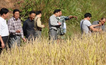 ������Ϫ�ص�����̬�ۺ����������ٴ��Ѽ�