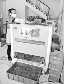 ���������Ҷ����æ �Ƽ�����æ