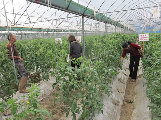 ��������������ũҵ�Ƽ�����ʾ������2