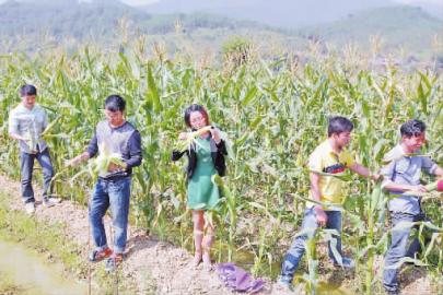 ������Ϫ�������Ե�ˮ����������