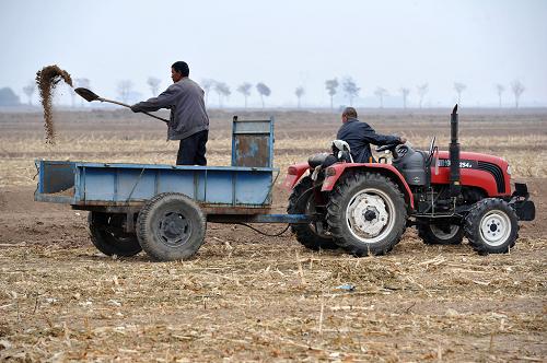 10��29�գ�����ʯ��ɽ��ƽ����ũ����ũ������нոѻ��