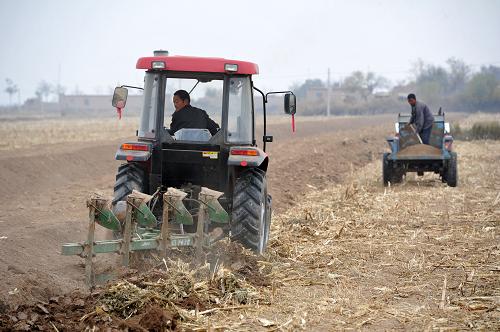 10��29�գ�����ʯ��ɽ��ƽ����ũ����ũ������нոѻ��