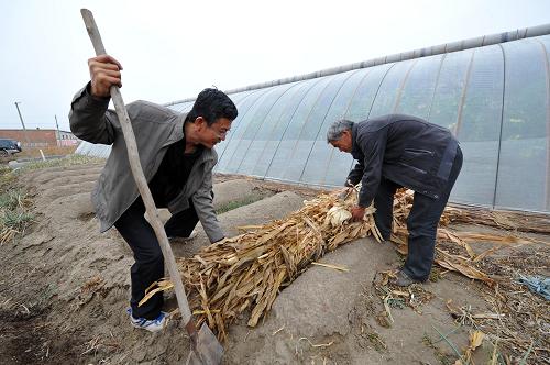 10��29�գ�����ʯ��ɽ�д������¡����ũ����Ա����ũ�����ո����������С�