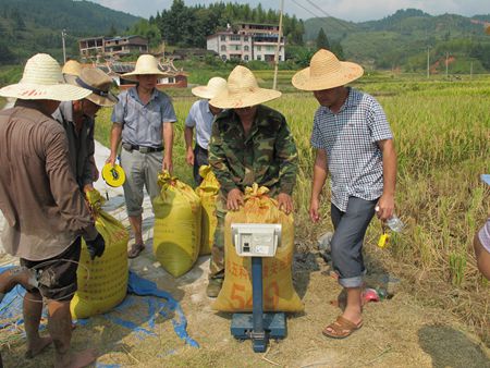 ��������߲�����ʾ��Ƭ�����